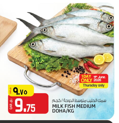 available at السعودية in قطر - الوكرة
