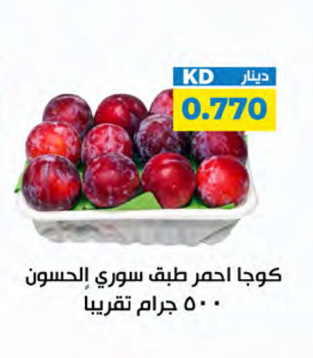 available at شركة سوق ميم المركزي  in الكويت - مدينة الكويت