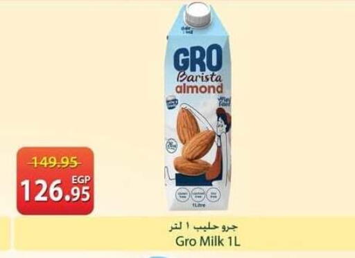 available at سبينس in Egypt - القاهرة