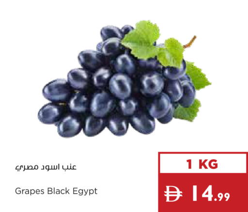 Grapes from Egypt available at إسطنبول سوبرماركت in الإمارات العربية المتحدة , الامارات - رَأْس ٱلْخَيْمَة