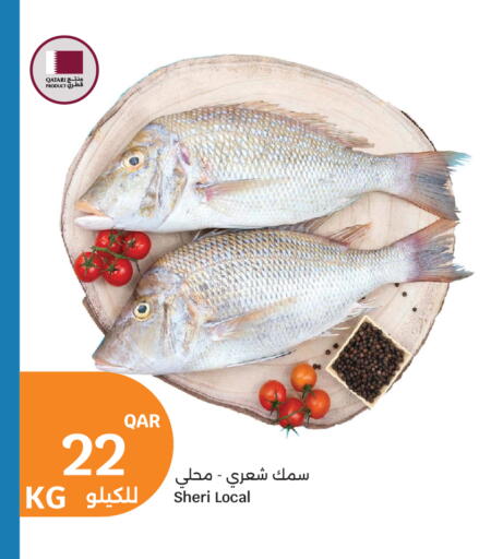 available at سيتي هايبرماركت in قطر - الوكرة