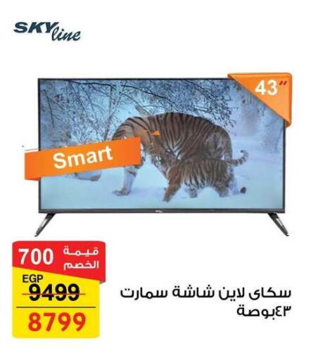 available at Fathalla Market  in Egypt - Cairo