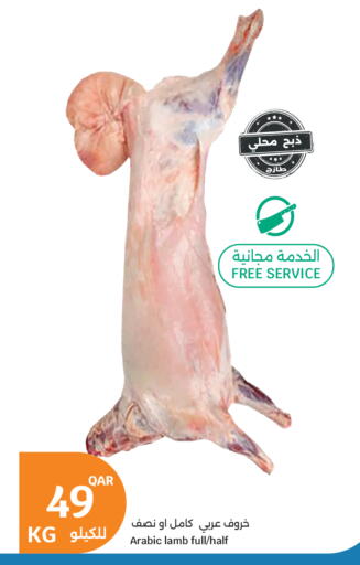 available at سيتي هايبرماركت in قطر - أم صلال