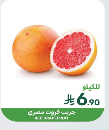 available at  مـزايــا in مملكة العربية السعودية, السعودية, سعودية - سيهات