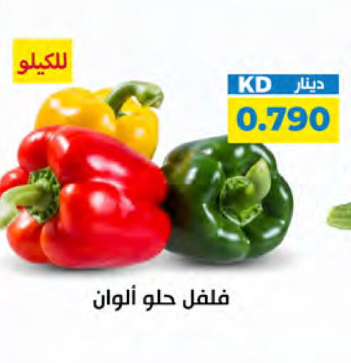 available at شركة سوق ميم المركزي  in الكويت - مدينة الكويت