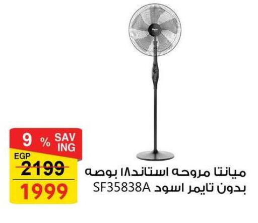 available at Fathalla Market  in Egypt - Cairo