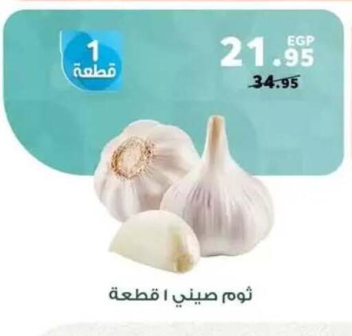 available at Panda  in Egypt - Cairo