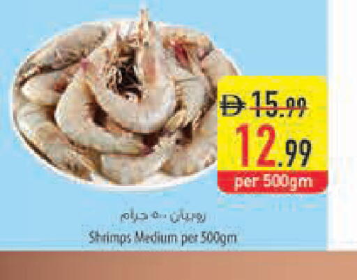 available at Safeer Market in UAE - Dubai
