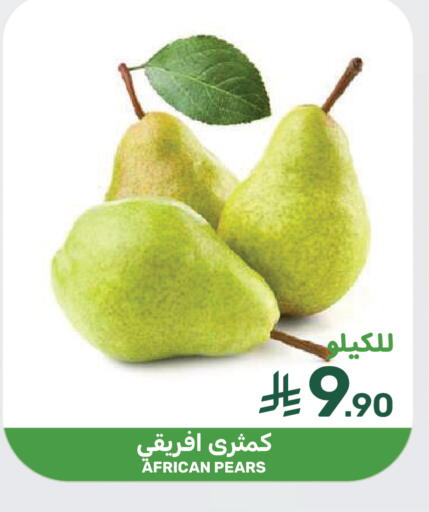 available at  مـزايــا in مملكة العربية السعودية, السعودية, سعودية - سيهات
