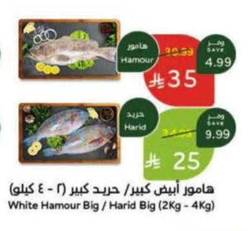 available at Hyper Panda in KSA, Saudi Arabia, Saudi - Ar Rass