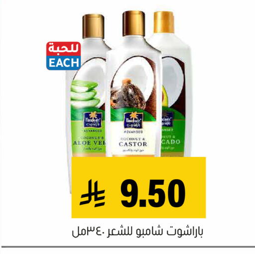 Coconut available at Al Amer Market in KSA, Saudi Arabia, Saudi - Al Hasa