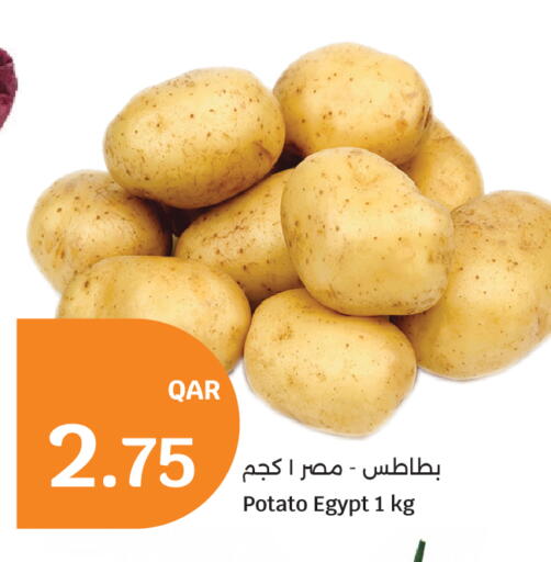 Potato from Egypt available at سيتي هايبرماركت in قطر - أم صلال
