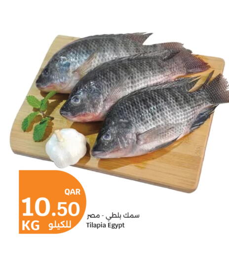 available at سيتي هايبرماركت in قطر - الوكرة