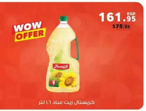 available at بنده in Egypt - القاهرة