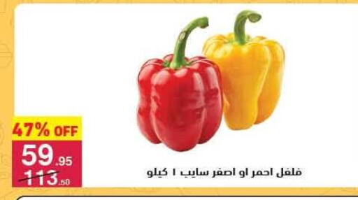 available at Mahmoud El Far in Egypt - Cairo