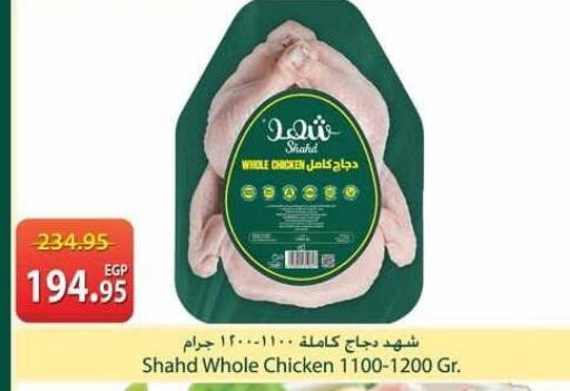 available at سبينس in Egypt - القاهرة