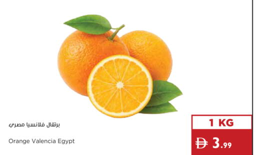 Orange from Egypt available at إسطنبول سوبرماركت in الإمارات العربية المتحدة , الامارات - رَأْس ٱلْخَيْمَة