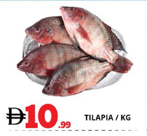 available at EXPRESS AL MADEENA HYPERMARKET LLC in UAE - Abu Dhabi