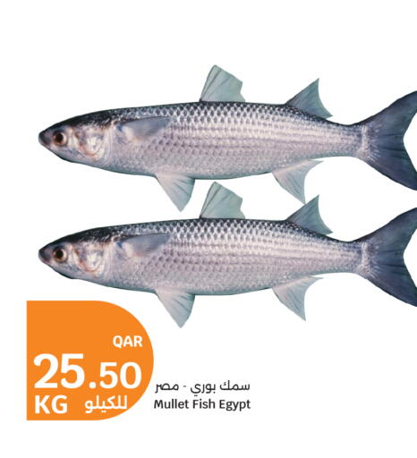 available at سيتي هايبرماركت in قطر - الوكرة