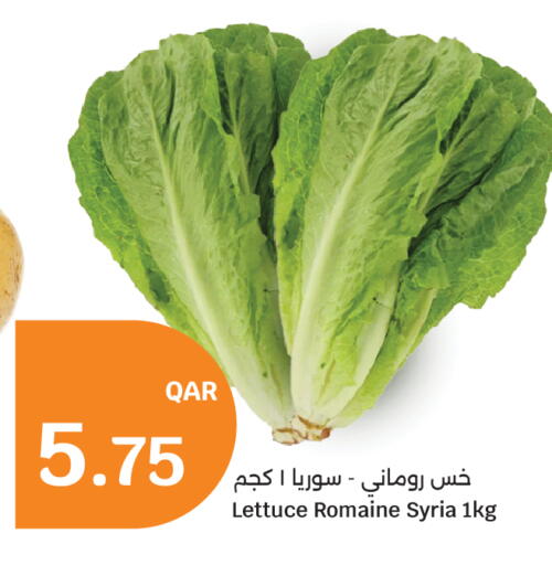 Lettuce from Syria available at سيتي هايبرماركت in قطر - أم صلال
