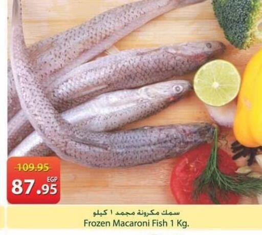 available at سبينس in Egypt - القاهرة