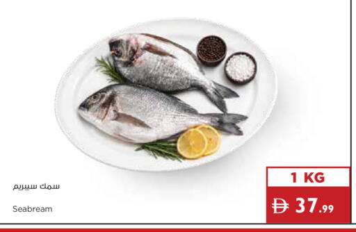available at إسطنبول سوبرماركت in الإمارات العربية المتحدة , الامارات - رَأْس ٱلْخَيْمَة
