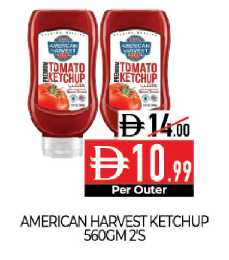 Tomato available at Delice Supermarket in UAE - Abu Dhabi