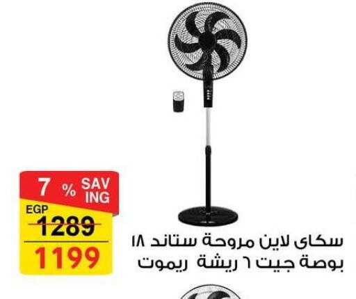 available at فتح الله in Egypt - القاهرة
