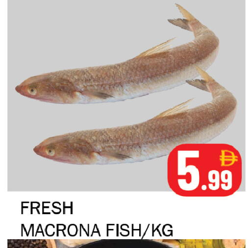 available at سوق المبارك هايبرماركت in الإمارات العربية المتحدة , الامارات - الشارقة / عجمان