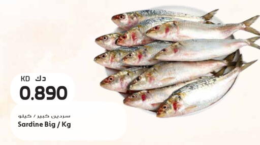 available at جراند هايبر in الكويت - مدينة الكويت