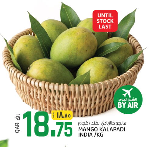 Mango from India available at السعودية in قطر - الوكرة