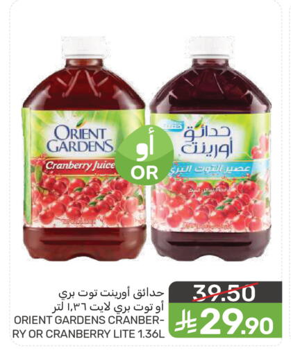 Cranberry available at  مـزايــا in مملكة العربية السعودية, السعودية, سعودية - سيهات