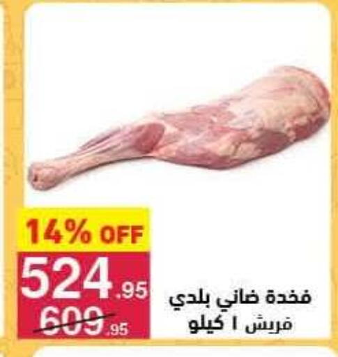 available at Mahmoud El Far in Egypt - Cairo