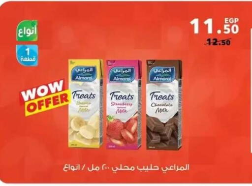 Strawberry available at Panda  in Egypt - Cairo