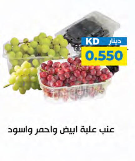 available at شركة سوق ميم المركزي  in الكويت - مدينة الكويت