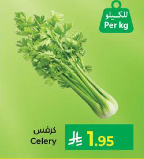 Celery available at كبايان هايبرماركت in مملكة العربية السعودية, السعودية, سعودية - ينبع