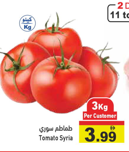 Tomato from Syria available at Aswaq Ramez in UAE - Dubai