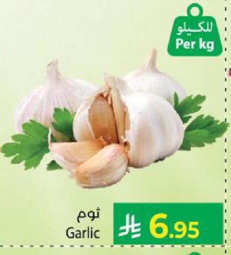 Garlic available at كبايان هايبرماركت in مملكة العربية السعودية, السعودية, سعودية - ينبع