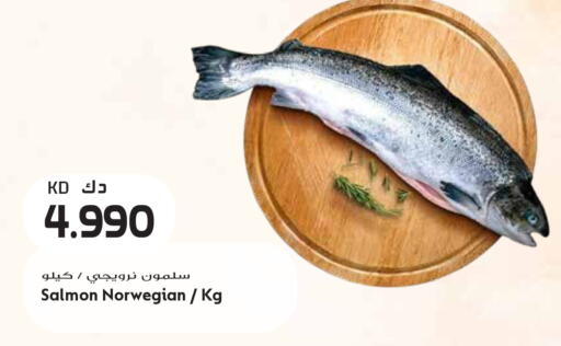 available at جراند هايبر in الكويت - مدينة الكويت
