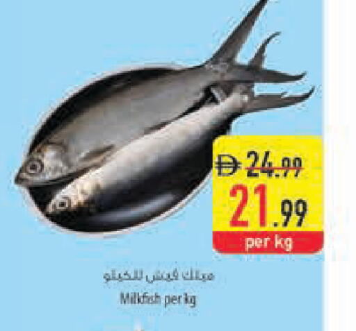 available at Safeer Market in UAE - Dubai