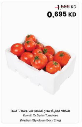 Tomato from Kuwait Syria available at مركز سلطان in الكويت - مدينة الكويت
