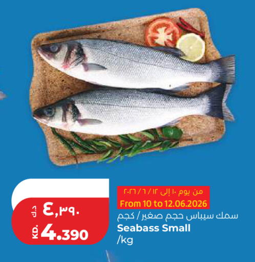 available at لولو هايبر ماركت in الكويت - مدينة الكويت
