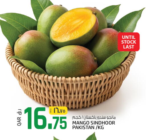 Mango from Pakistan available at السعودية in قطر - الوكرة