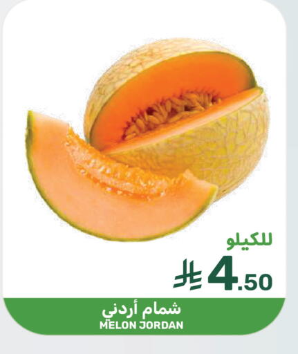 Melon from Jordan available at  مـزايــا in مملكة العربية السعودية, السعودية, سعودية - سيهات