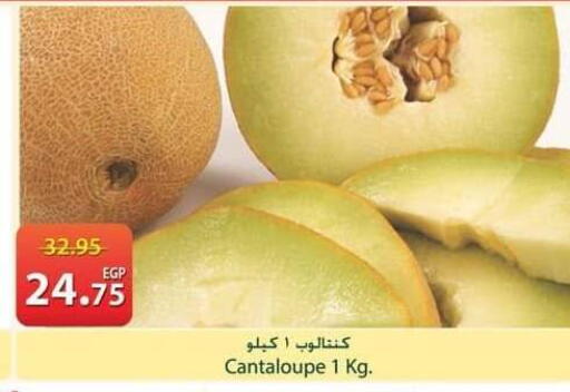 Cantaloupe available at Spinneys  in Egypt - Cairo