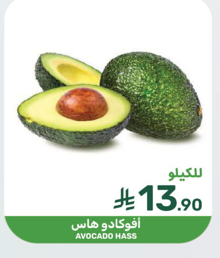 Avocado available at  مـزايــا in مملكة العربية السعودية, السعودية, سعودية - سيهات