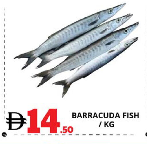 available at EXPRESS AL MADEENA HYPERMARKET LLC in UAE - Abu Dhabi