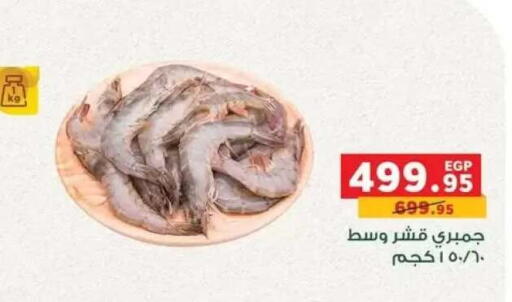 available at Panda  in Egypt - Cairo