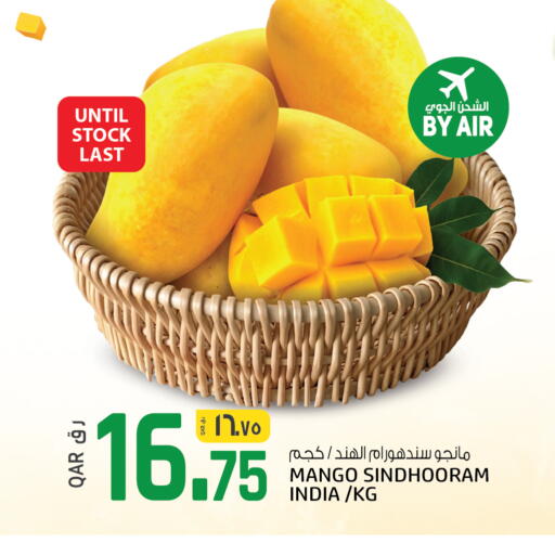 Mango from India available at السعودية in قطر - الوكرة