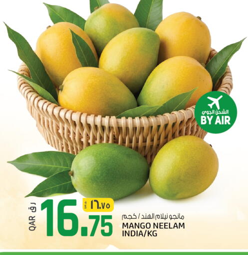 Mango from India available at السعودية in قطر - الوكرة
